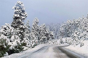Winter Driving Tips & Conditions