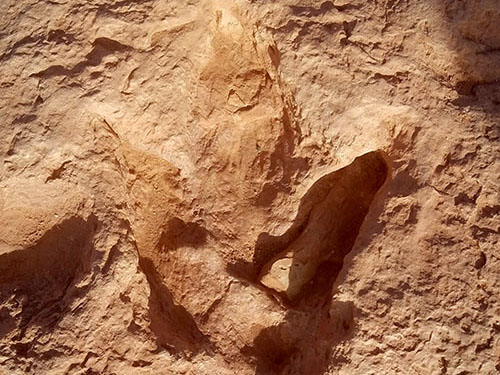Dinosaur footprint near Flagstaff