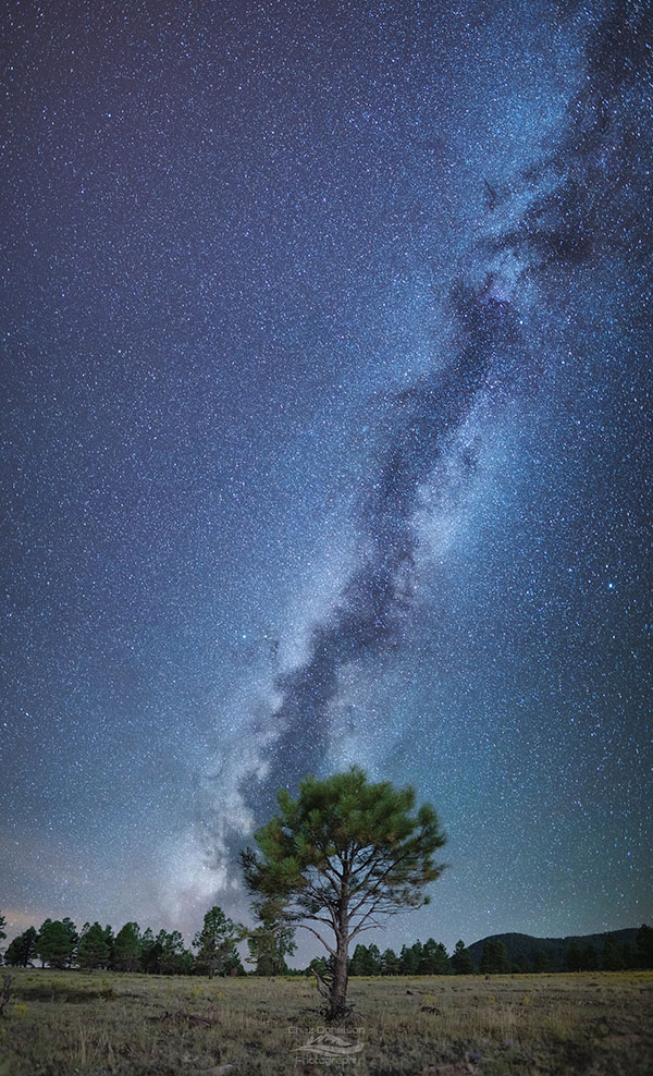 Stargazing at Buffalo Park