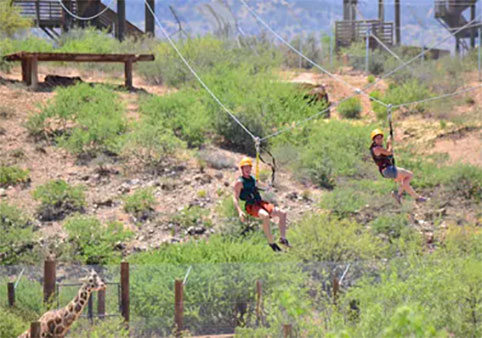 Predator Zip Lines - Camp Verde, AZ