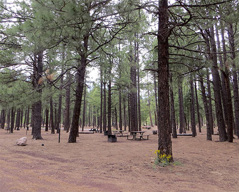 Fort Tuthill County Park