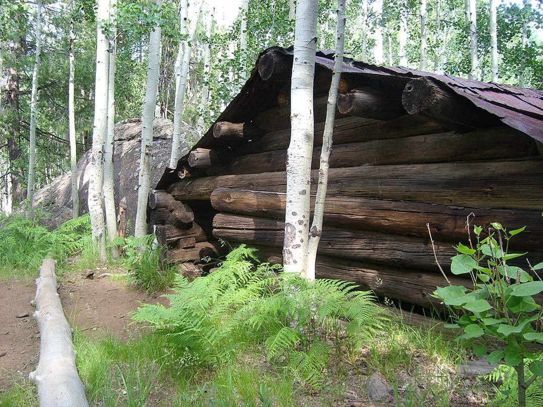 Veit Springs Trail AKA Lamar Haines Trail Loop